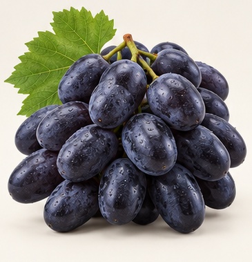 Autumn Royal Grapes – Alex Jet fresh produce photo