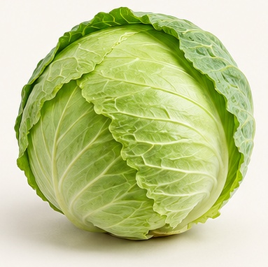 Cabbage – Alex Jet fresh produce photo