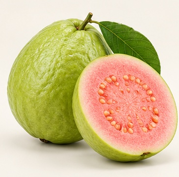 Guava – Alex Jet fresh produce photo