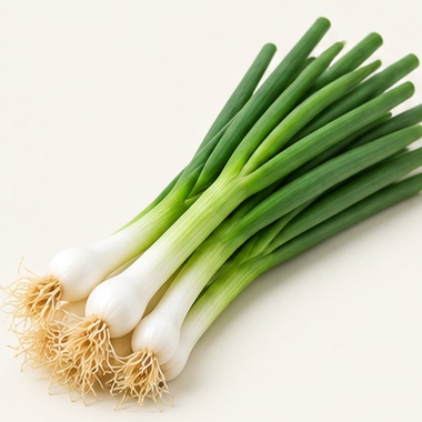 Scallion – Alex Jet fresh produce photo