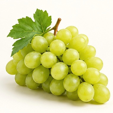 Thompson Grapes – Alex Jet fresh produce photo