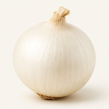White Onion – Alex Jet fresh produce photo